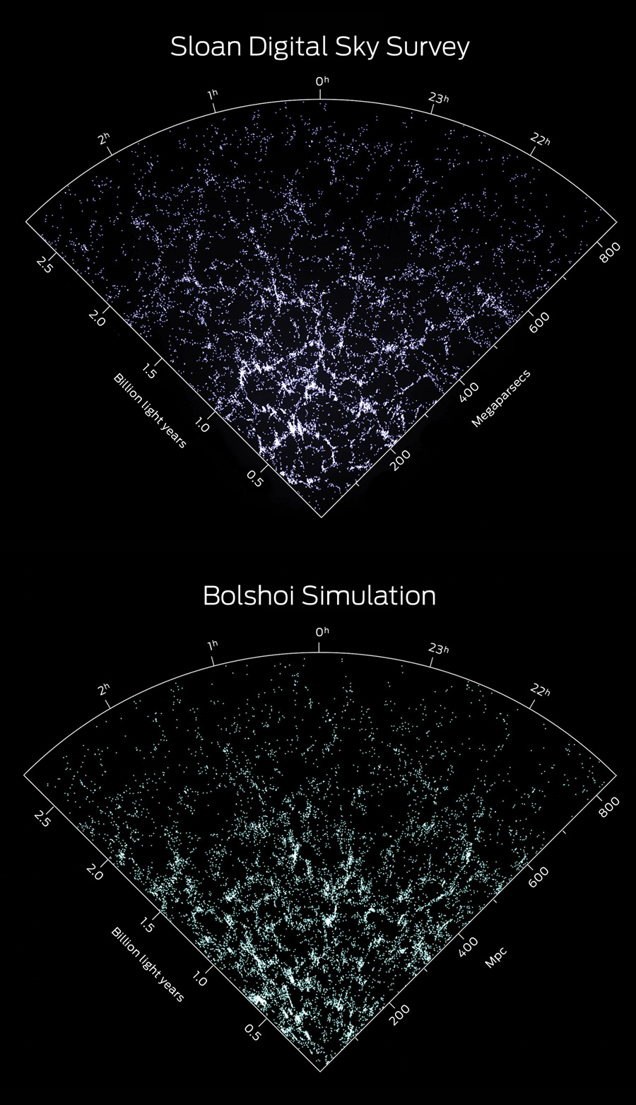 These wedges show the distribution of galaxies in a slice of the sky. Because the speed of light is finite, looking deeper into the sky shows objects that are older and farther away. Here, telescope observations made by the Sloan Digital Sky Survey are compared with the distribution of galaxies calculated based on the Bolshoi dark matter simulation. They show a good match statistically.