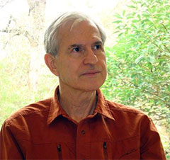 Brain’s big picture of short-term visual memory