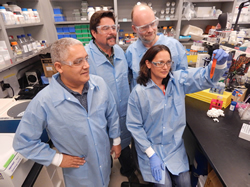 Computing how to kill superbugs